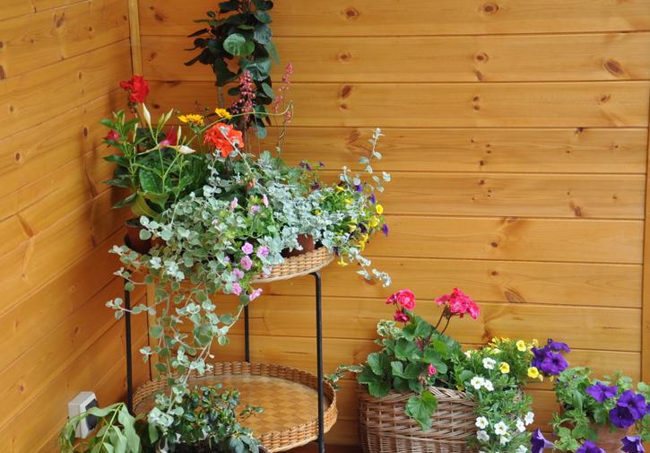 Koliba Nad Bialka Czarna Gora Bed & Breakfast Exterior photo